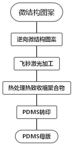 一种基于飞秒激光加工及热收缩材料的微纳结构模具制备方法