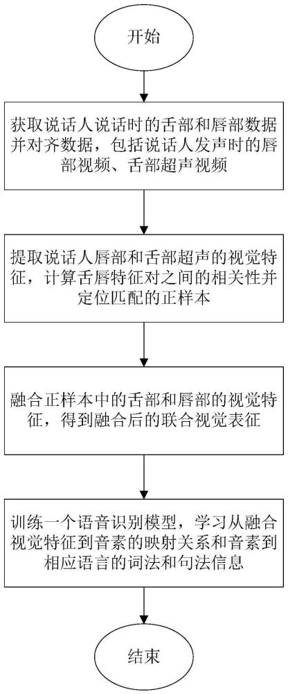 基于舌部超声和唇部视频视觉融合的语音识别方法及系统