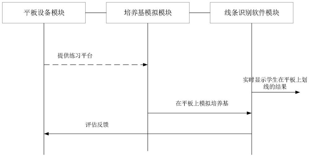 用于单增李斯特菌平板划线分离训练的虚拟仿真教学系统