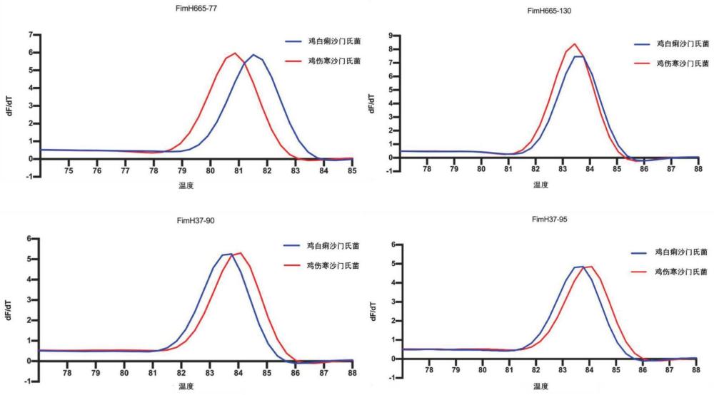 一种快速鉴别鸡白痢、鸡伤寒沙门氏菌的PCR-HRM试剂盒及其应用的制作方法