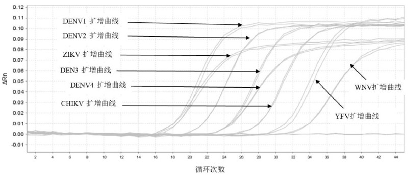 同时检测虫媒传染性疾病多种病原体的引物池及PCR快速检测试剂盒的制作方法