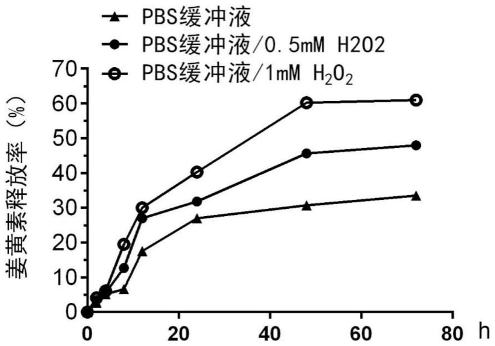 一种聚乙二醇-聚姜黄素-聚乙二醇偶联物、纳米颗粒及其制备方法