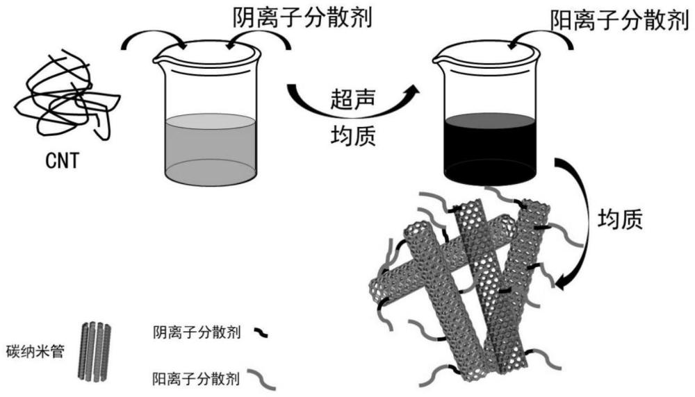 碳纳米管复合分散剂和碳纳米管分散体