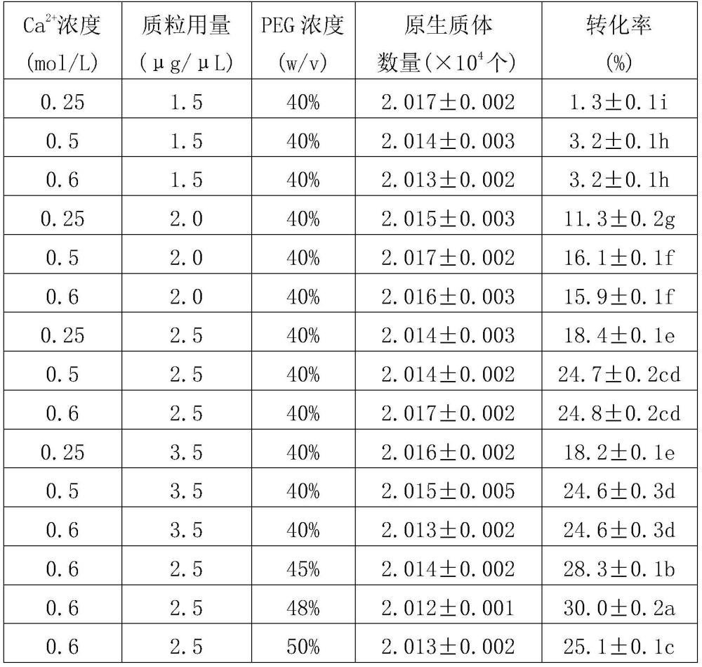 一种蓝莓原生质体瞬时转化的方法