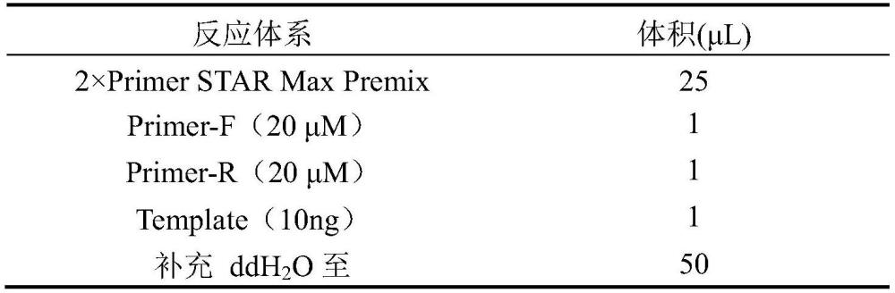 一种大肠杆菌基因组编辑gRNA质粒及其构建方法与流程