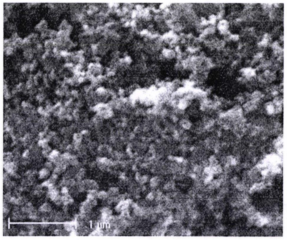 一种花生壳生物炭的制备及其对电镀废水中铜离子和镍离子的吸附方法