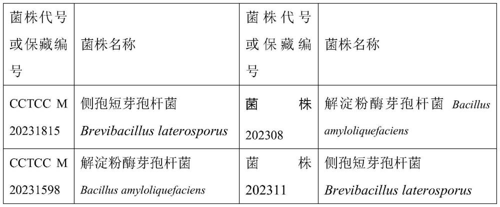 ARC微生物菌剂用于生产ARC+根瘤菌肥（剂）的用途