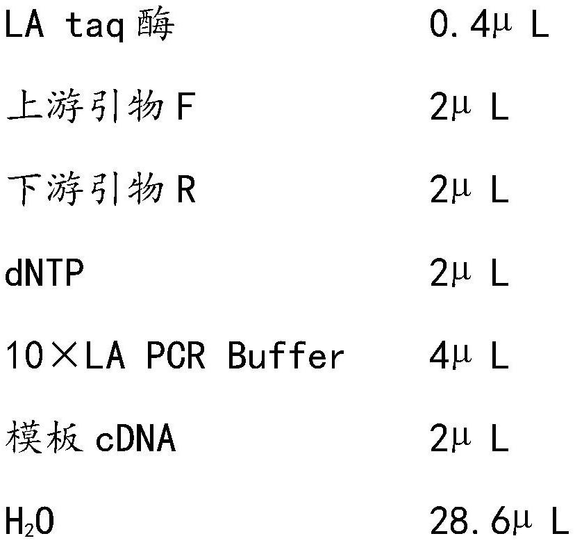 褪黑素受体MdCAND2-2在促进苹果植株不定根生成中的应用方法