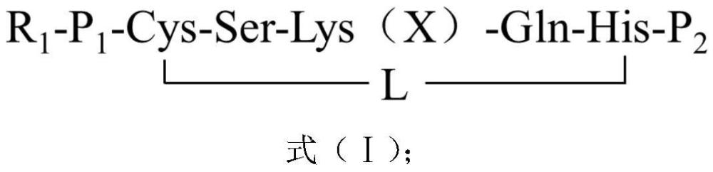 一种具有抗乳腺癌活性的多肽及应用的制作方法