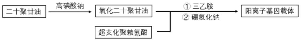 一种具有高转染效率和低细胞毒性的改性阳离子基因载体及其制备方法