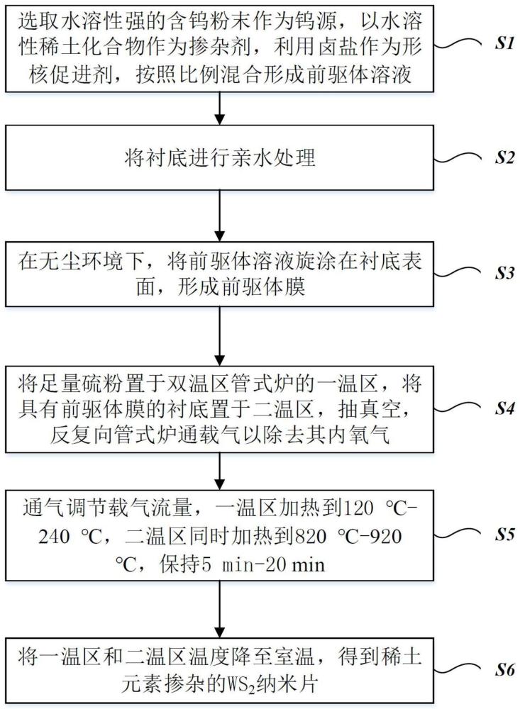 稀土元素掺杂的WS2纳米片、制备方法及应用