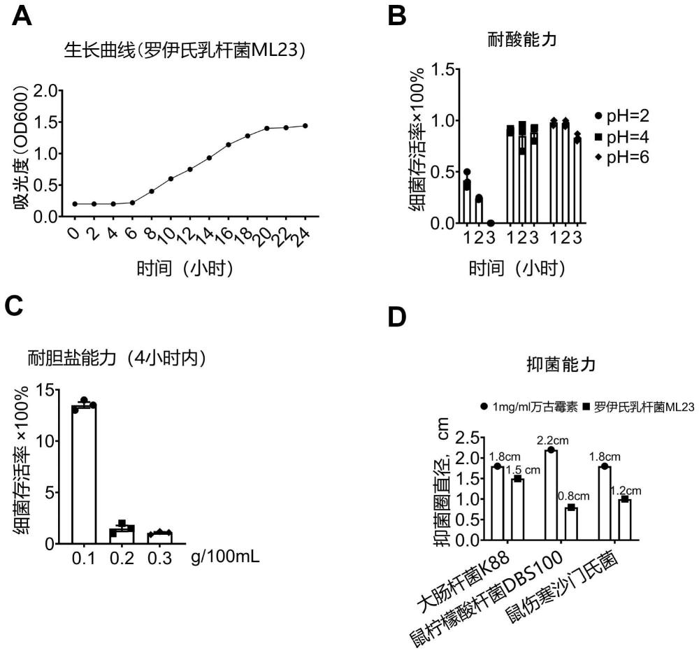 罗伊氏粘液乳杆菌ML23及其应用