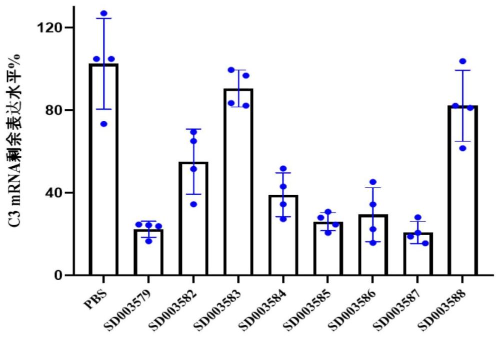 一种调节补体C3表达的siRNA、其缀合物和药物组合物及用途的制作方法
