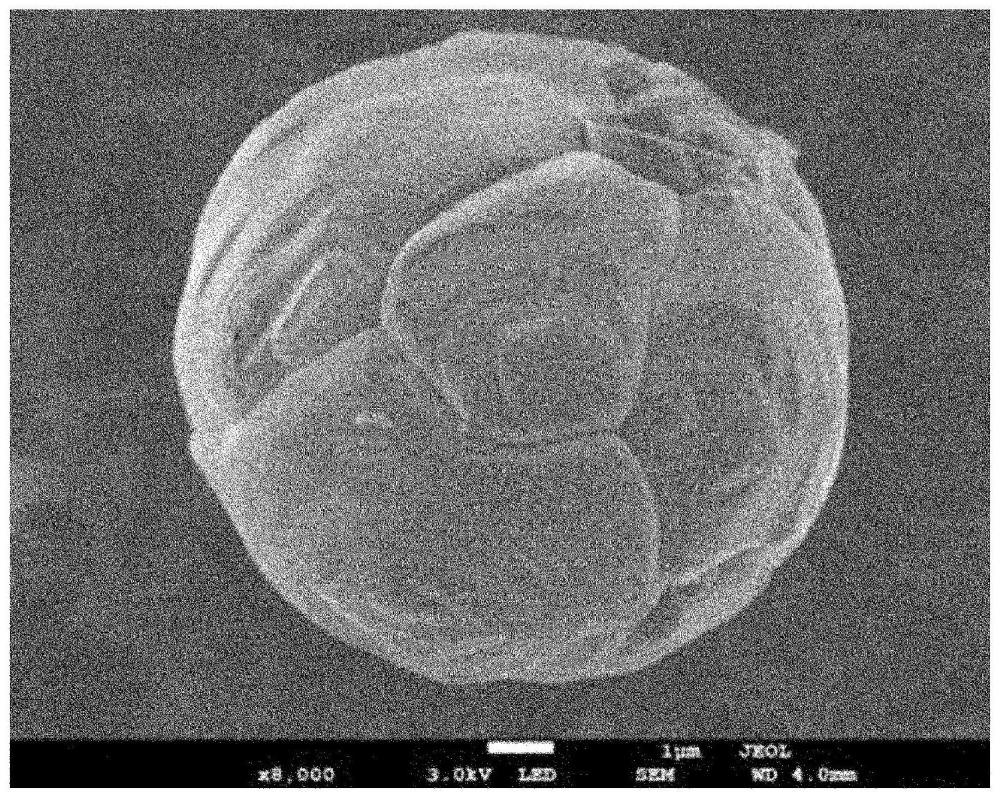 球状氧化镁、其制造方法、树脂填料及树脂组合物与流程