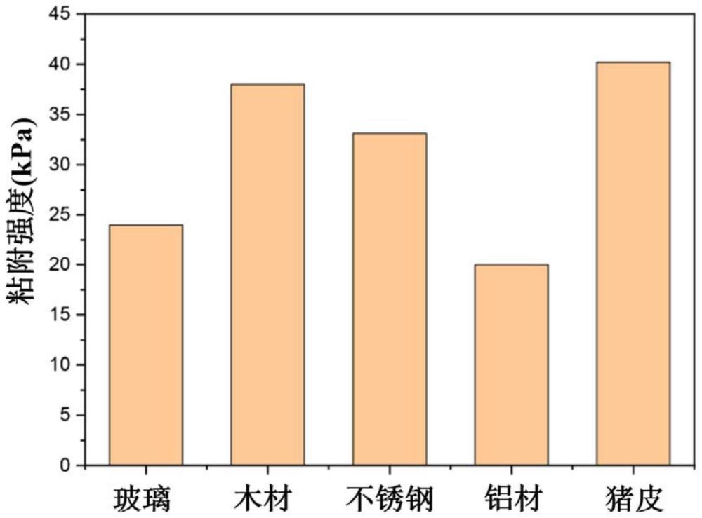 一种含水杨醛衍生物疏水缔合粘附水凝胶及其制备方法和应用