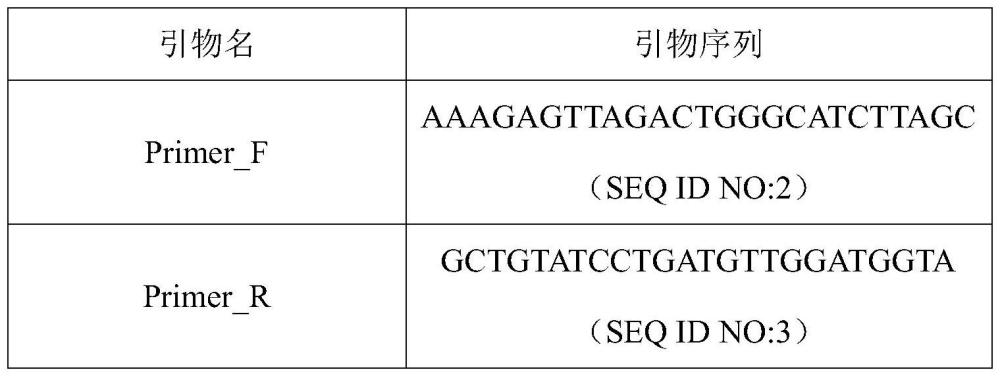 一种用于检测猪肉质性状LDHA基因的SNP分子标记及应用