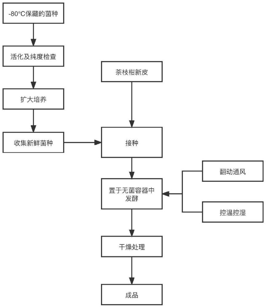 一种提高广陈皮中黄酮类化合物的菌株及其应用