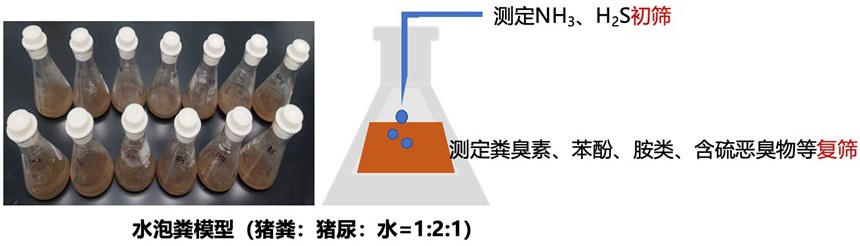 水泡粪除臭菌的筛选方法及复合微生物除臭剂