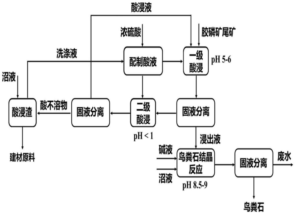 一种利用胶磷矿尾矿酸浸液回收高氨氮废水氮的方法与流程