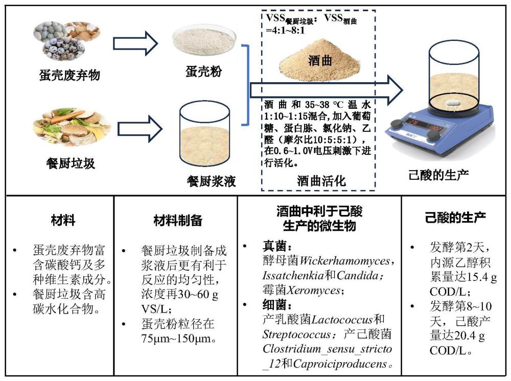 一种利用蛋壳废弃物和酒曲实现餐厨垃圾一罐式快速产己酸的方法