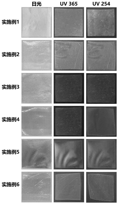 一种基于网络协同增强的室温磷光胶原蛋白复合薄膜及其制备方法与应用