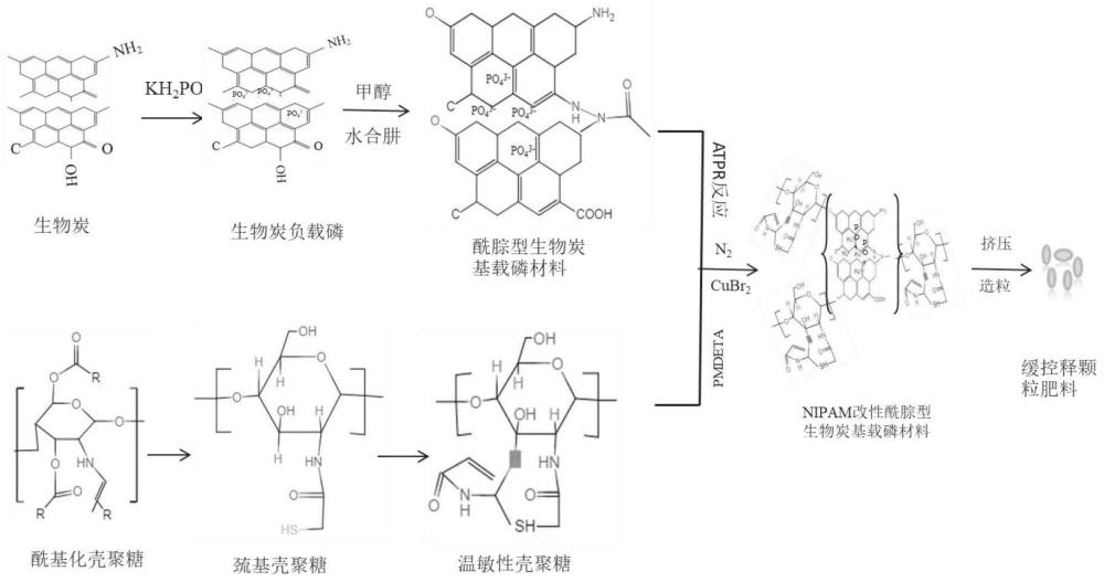 温度/pH双重响应型生物炭基磷肥及其制备方法与应用