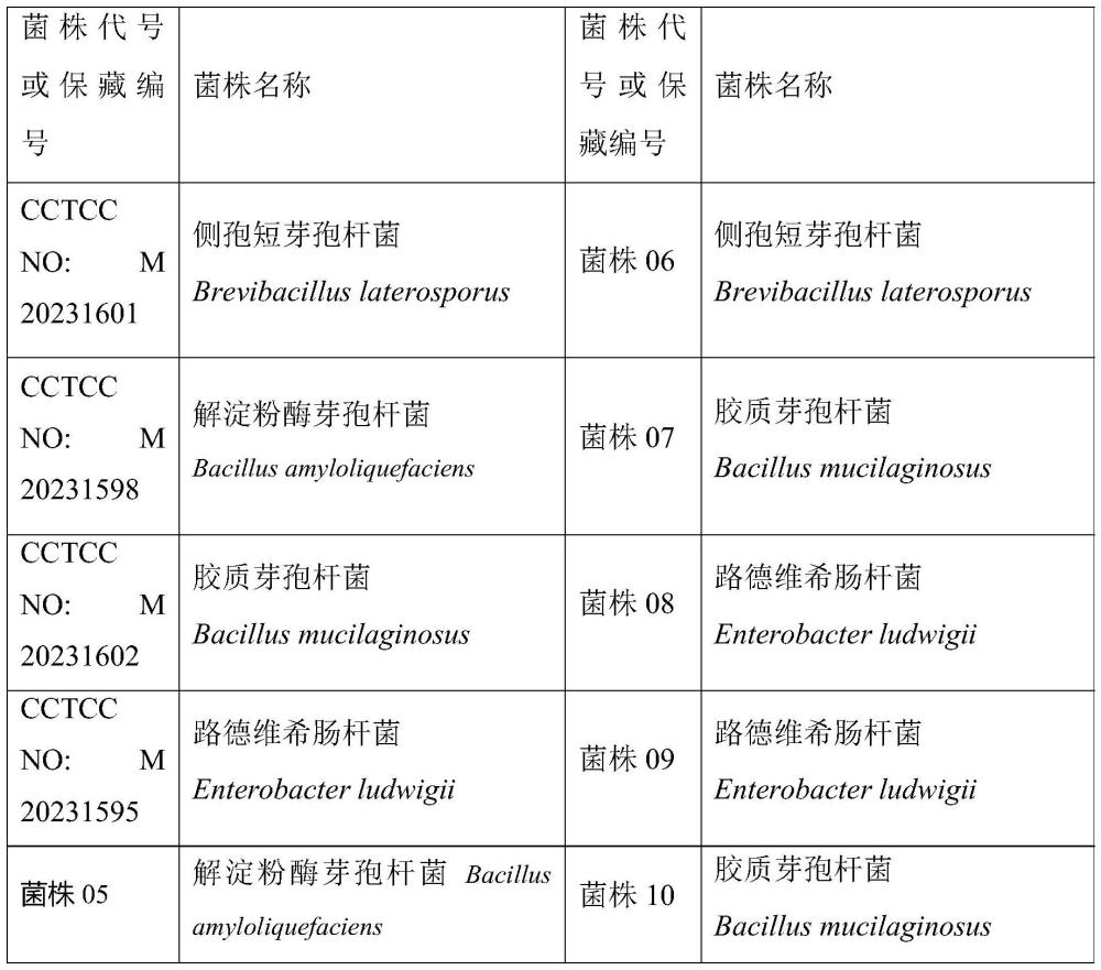 提质固氮耦合绿色增产ARC微生物菌剂的发酵生产方法