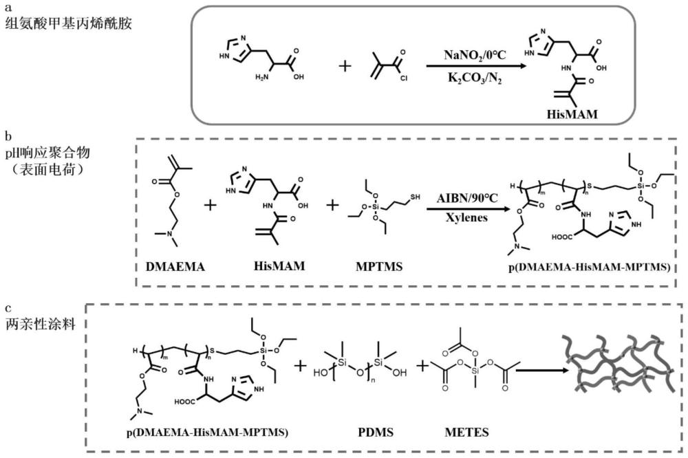 一种利用L-组氨酸设计pH电荷响应的两亲防污涂料及其制备