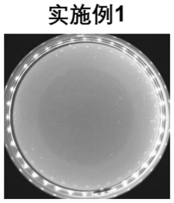 基于呋喃二肟抗菌交联剂的本征防污涂料组合物及应用