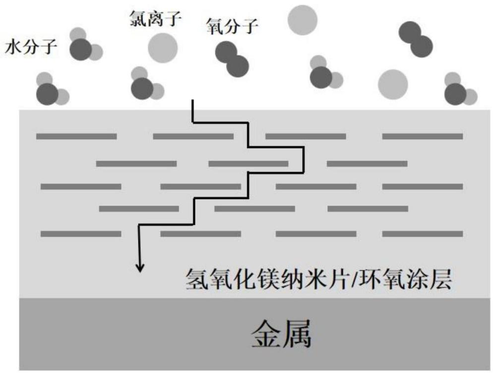 一种氢氧化镁纳米片的制备方法及其在金属腐蚀防护涂料中的应用