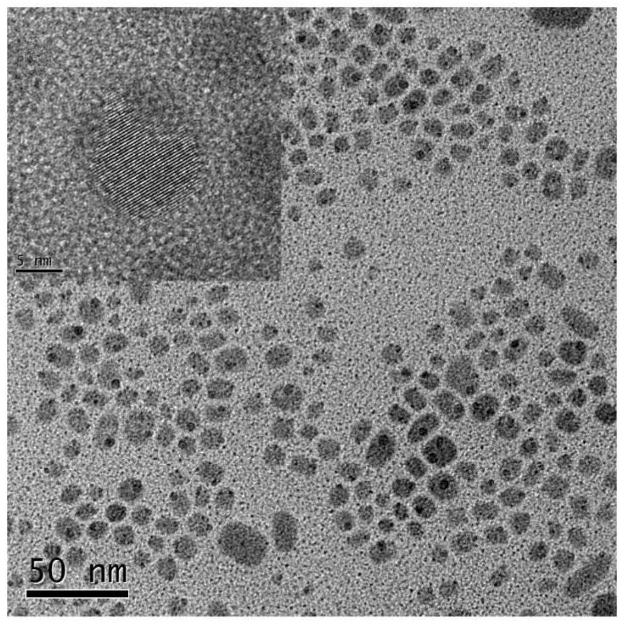 一种基于CsPbBr3分子印迹荧光纳米探针的制备方法及其检测方法