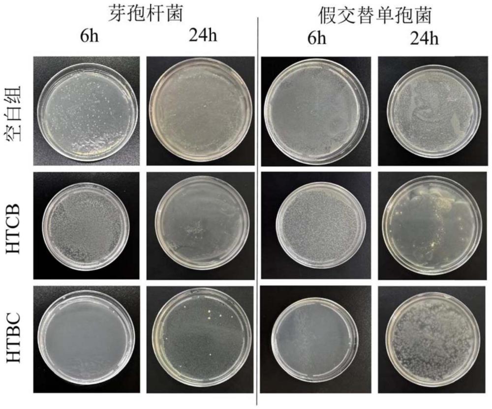 防污纳米填料及其制备方法