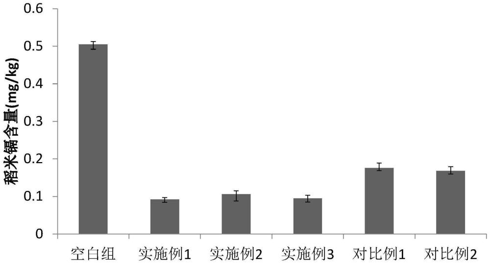 一种镉砷复合污染稻田土壤缓释修复剂及其制备工艺与应用的制作方法