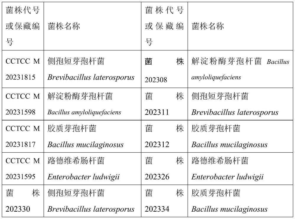 ARC微生物菌剂用于生产ARC+保水剂的用途