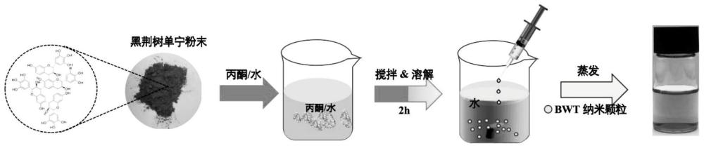 一种多酚基纳米级生物质乳化剂及其制备方法