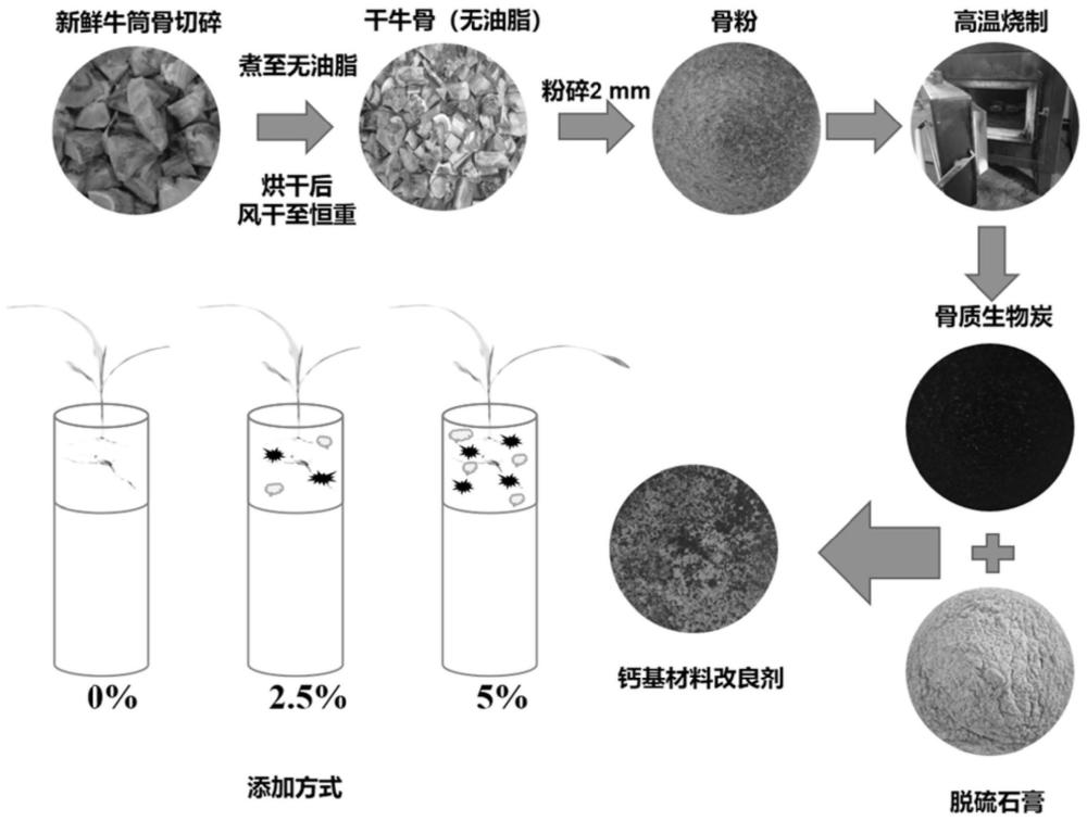 一种钙基材料土壤改良剂及其制备方法