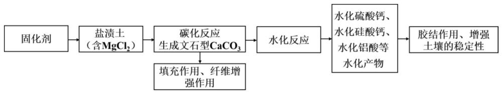 一种用于盐渍土处理的低碳固化剂制备方法及应用与流程