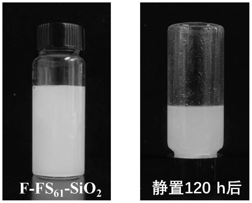 一种水性化超双疏处理剂、制备方法及应用