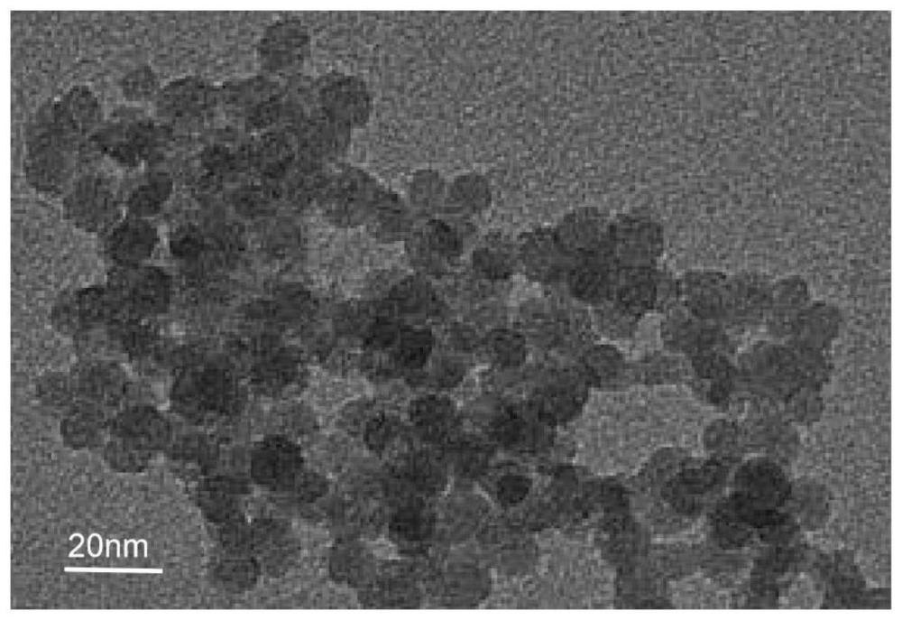 一种磷光碳点材料、制备方法及应用于制备磷光高分子材料