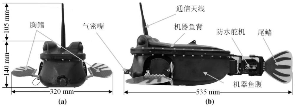 一种胸鳍和尾鳍协同推进的仿生机器鱼及其控制方法