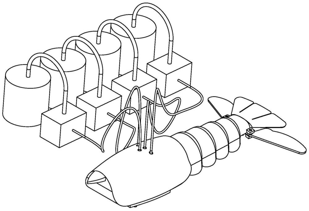 腹部和尾扇协同推进的仿小龙虾机器人及其耦合运动方法
