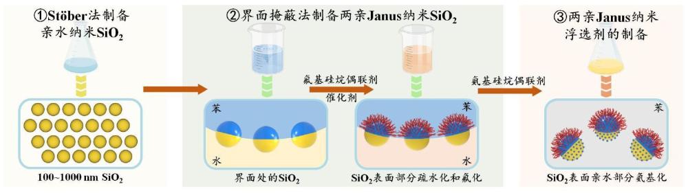 两亲Janus纳米浮选剂的制备及其协助泡沫浮选去除水中全氟化合物的方法