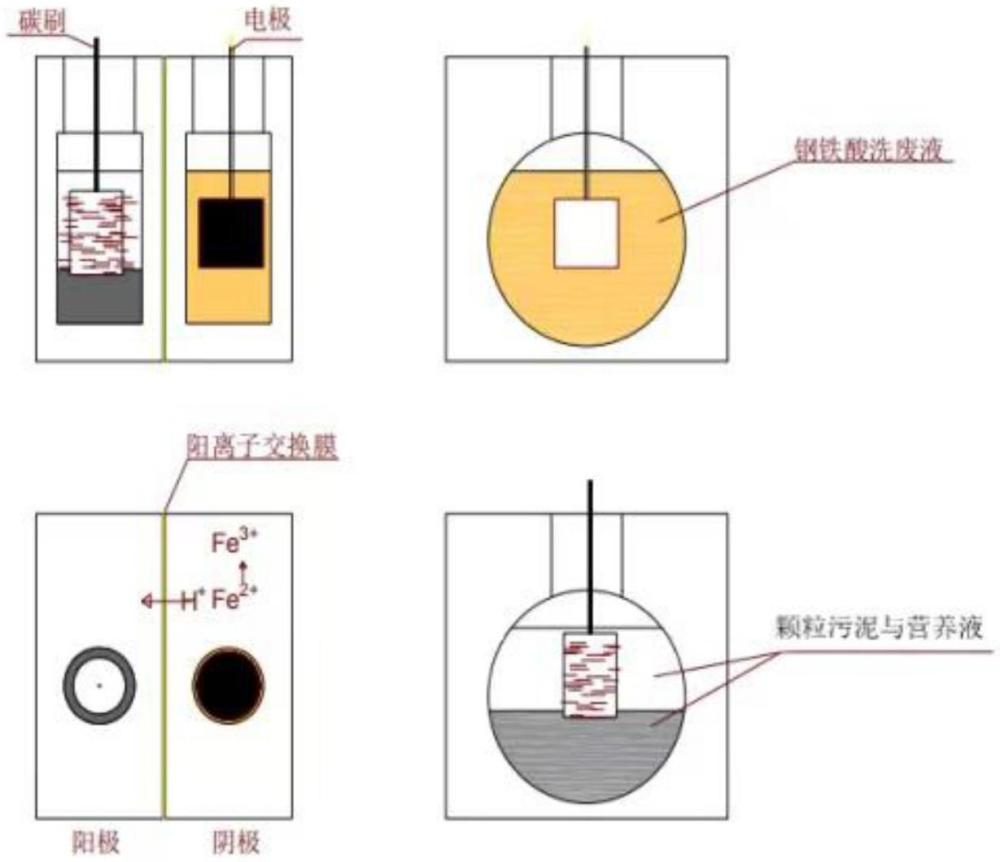 一种利用生物电化学体系资源化处理钢铁酸洗废液的方法及应用