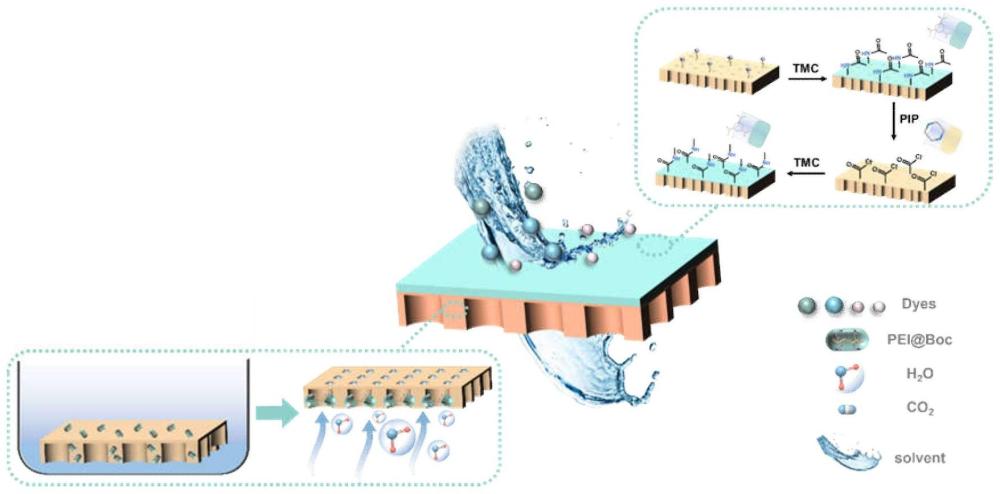 一种通过分子封装技术制备耐溶剂纳滤膜的方法