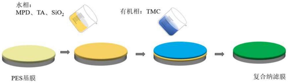 一种截留硝酸盐的复合纳滤膜及其制备方法和应用