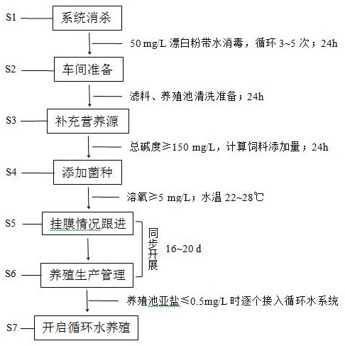 一种应用于海水循环水养殖系统的生物滤池挂膜方法与流程