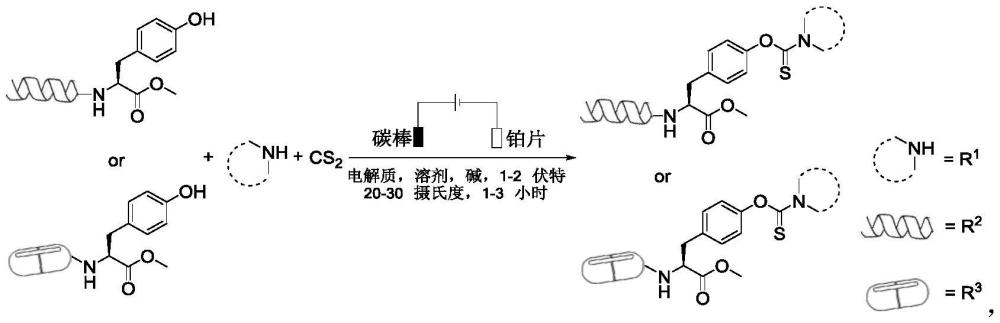 一种电化学合成硫代氨基甲酸酯标记含酪氨酸生物分子的方法