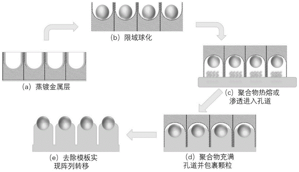 一种金属纳米颗粒阵列的大面积制备及柔性转移方法与流程