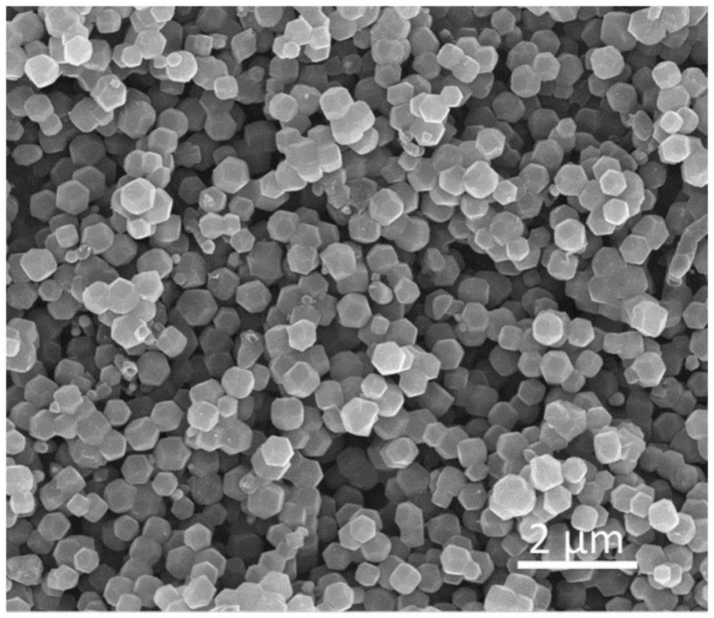 一种电还原一氧化氮合成氨用Cu-N-C催化剂、制备方法及其应用