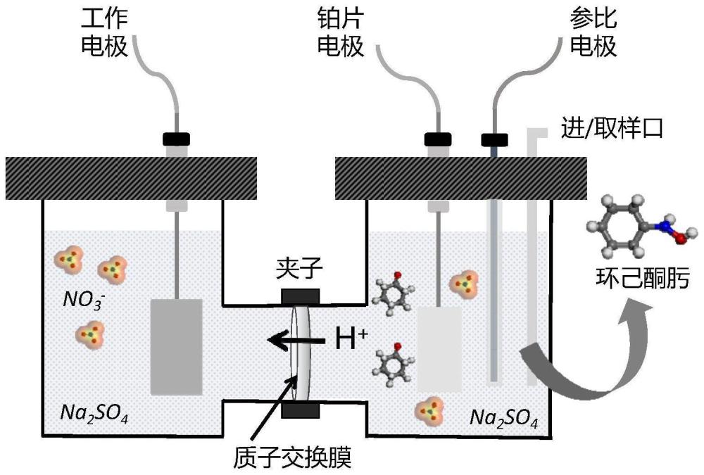 一种促进电催化硝酸根还原耦合反应的P/Fe-NPC催化剂的制备方法和应用